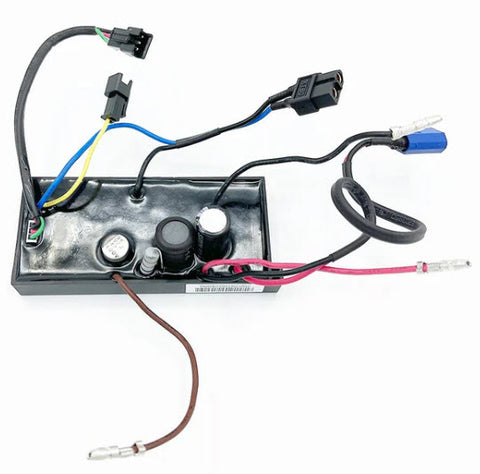EGO LM2100SP - 2830076005 Electric Assembly version B